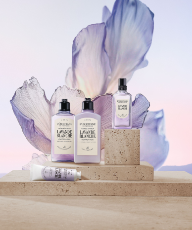 Todas as Coleções da L'Occitane en Provence